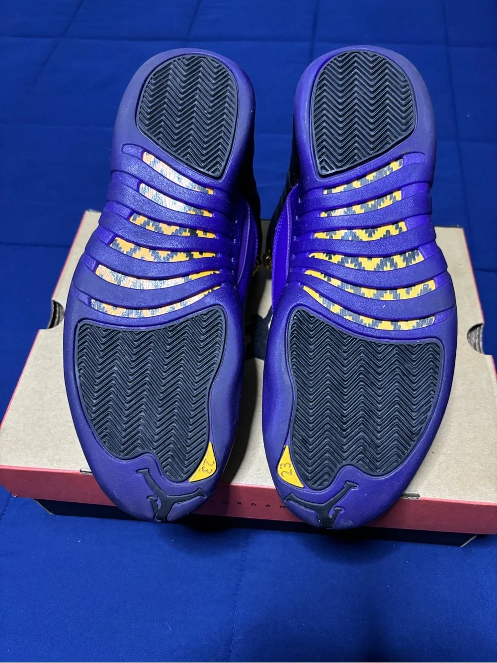 Jordan 12 Retro Field Purple 2023 Size 11.5
